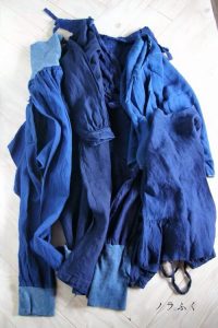 En la imagen aparece una prenda teñida de azul con la planta En la imagen aparece la planta Índigo