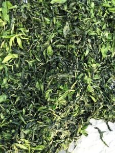 En la imagen aparece la planta Índigo